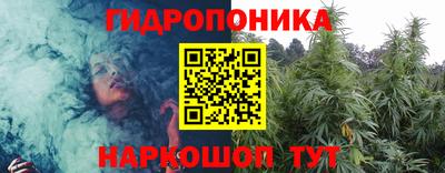 амф Бердск