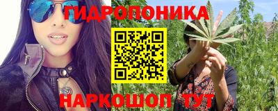 амф Бердск