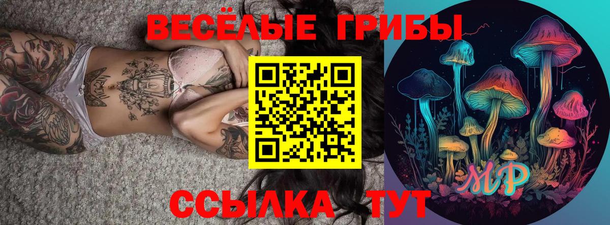 Псилоцибиновые грибы прущие грибы  Вход с VPN  Галлюциногенные грибы прущие грибы  Гуково 