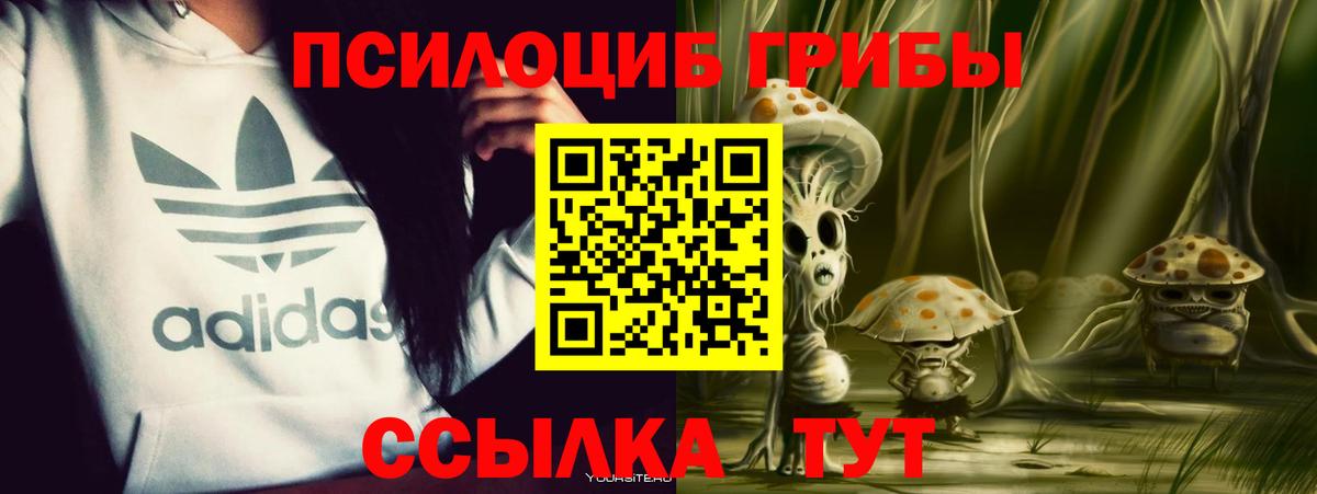 Псилоцибиновые грибы мицелий Гуково